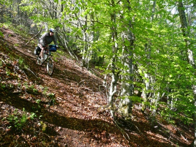 Les Chemins du Soleil