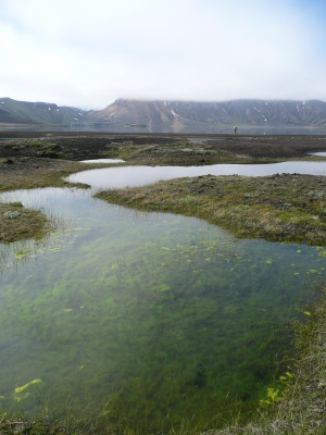 De Landmannahellir à Landmannalaugar : le long de la côte nord du Frostasta?avatn 