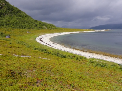 Ile de Rigvassøya : Un joli bivouac, les phoques nagent dans la baie