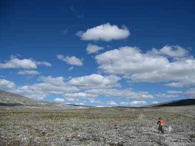 Les vastes étendues du parc du Dovrefjell. On peut faire du VTT, mais il y a régulièrement des zones très rocheuses où il faut pousser. On passe au mileu des boeufs musqués sur cette balade.