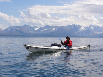 Goltziana Nomura :  test en Norvège (en fond les Alpes de Lyngen)