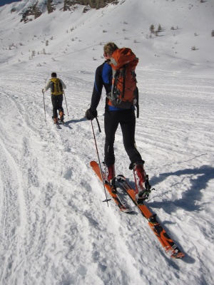 Verdict de Black Diamond montés en Diamir Eagle, pour alléger, les monter en low tech serait approprié