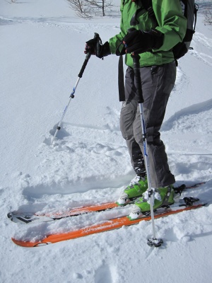 Ski Verdict