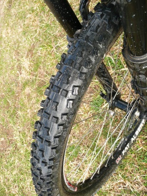 Pneu Schwalbe Fat Albert (avant)