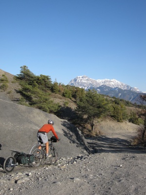 Remorque à vélo Oxtail