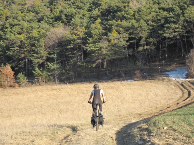 Remorque &agrave; v&eacute;lo Oxtail