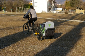 Remorque v&eacute;lo enfant Bellelli Trail Tots
