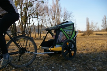 Remorque v&eacute;lo enfant Bellelli Trail Tots