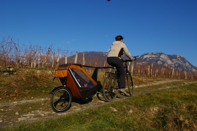 Remorque vélo enfant mono-roue Tout-terrain Single Trailer