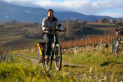 Remorque vélo enfant mono-roue Tout-terrain Single Trailer