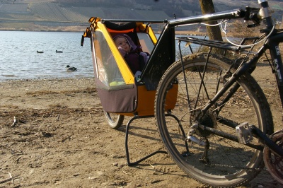 Remorque vélo enfant mono-roue Tout-terrain Single Trailer