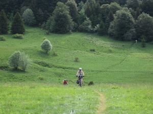 Aux abords de la source d'Herbouilly