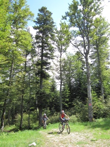 Entre le col du Rousset et Die