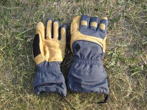Gants Black Diamond Prodigy gloves
