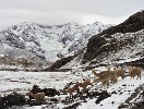 Trek de l'Ausangate. Pérou