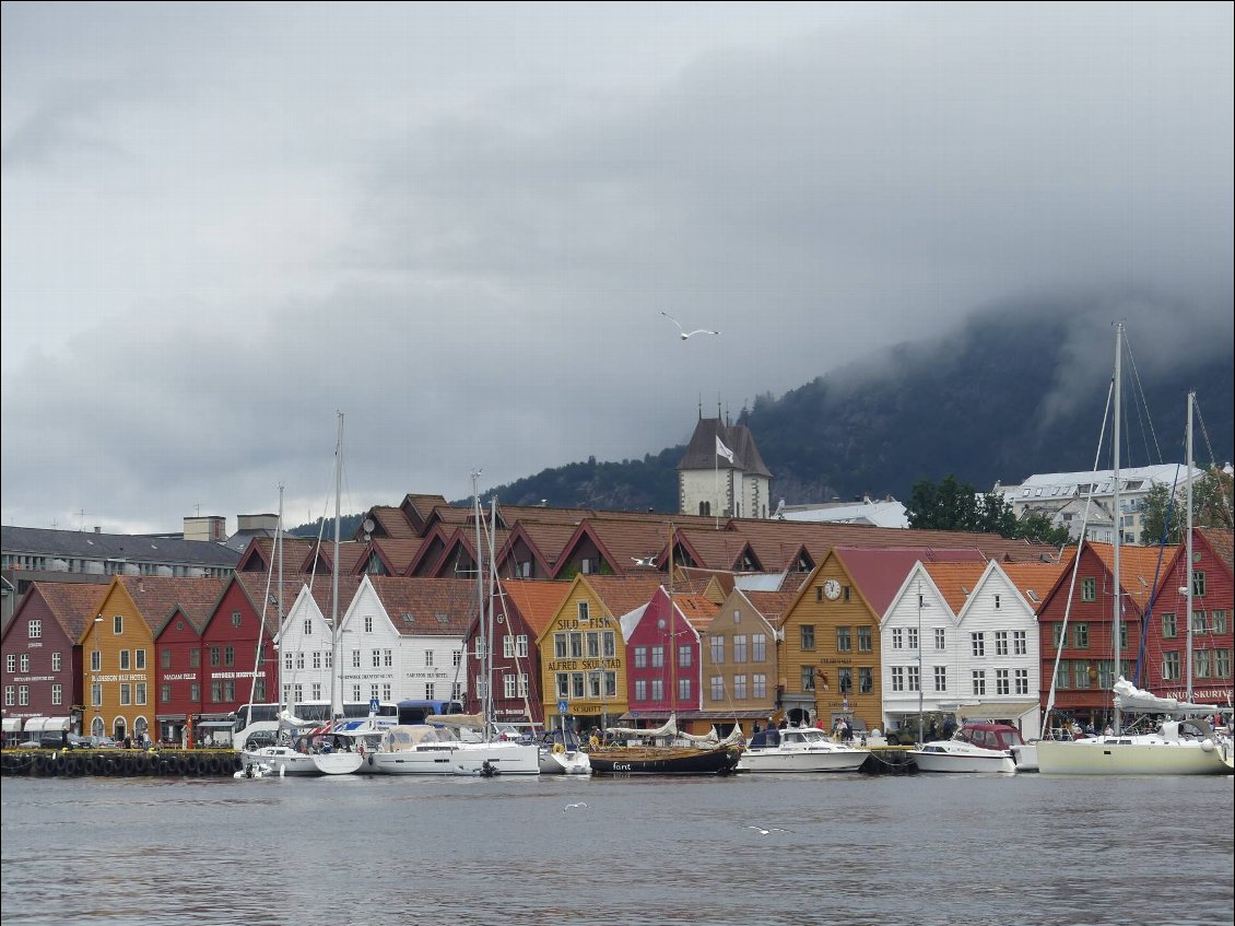 les vieilles maisons - entrepôts du port de Bergen
