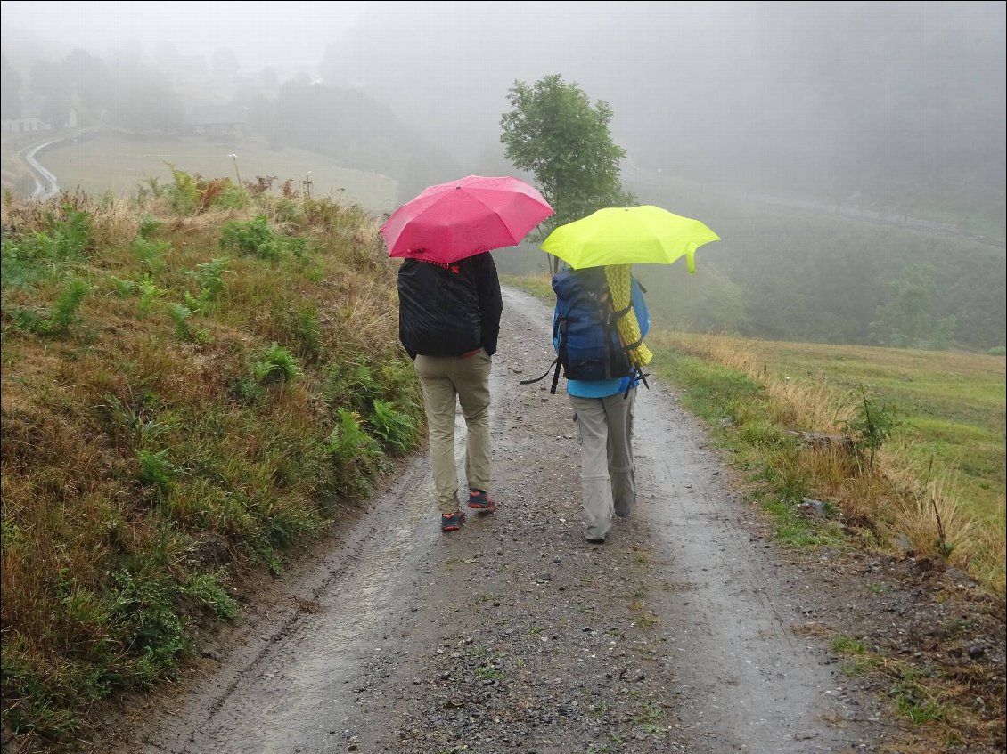 Sous la pluie, les parapluies