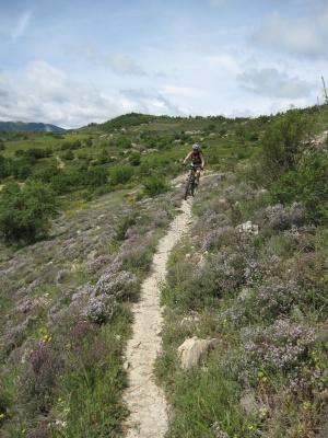 vtt-itinerant-autour-de-la-montagne-de-lure