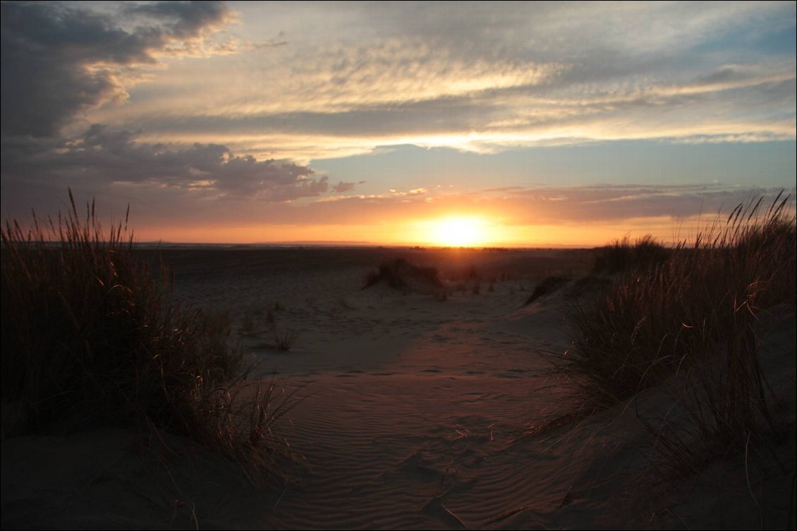 Dunes de l'Espiguette