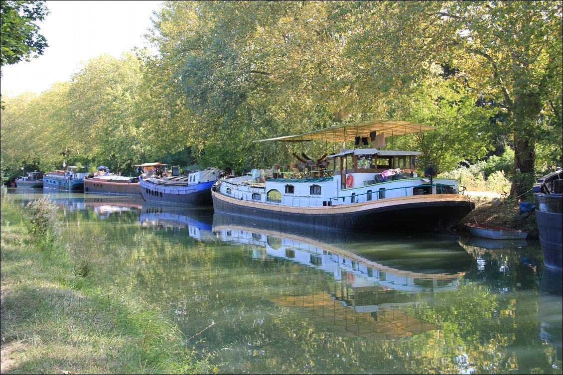 Canal du Midi