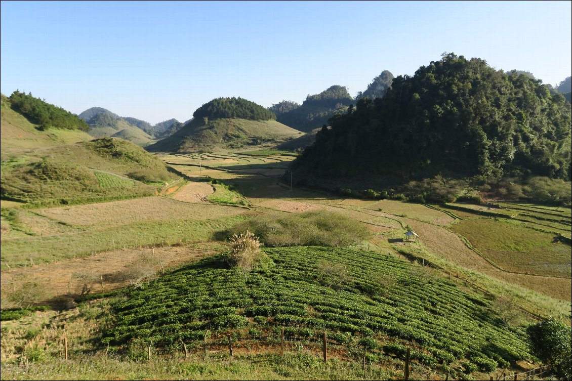 Les pics verdoyants de la région de Mai Chau - Moc Chau