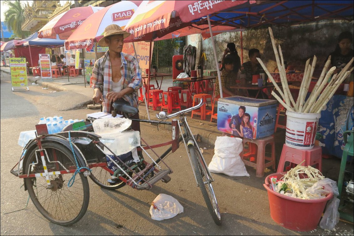 A Yangon, un livreur de glaçons approvisionne les stands de jus de canne à sucre et autres vendeurs de rue.