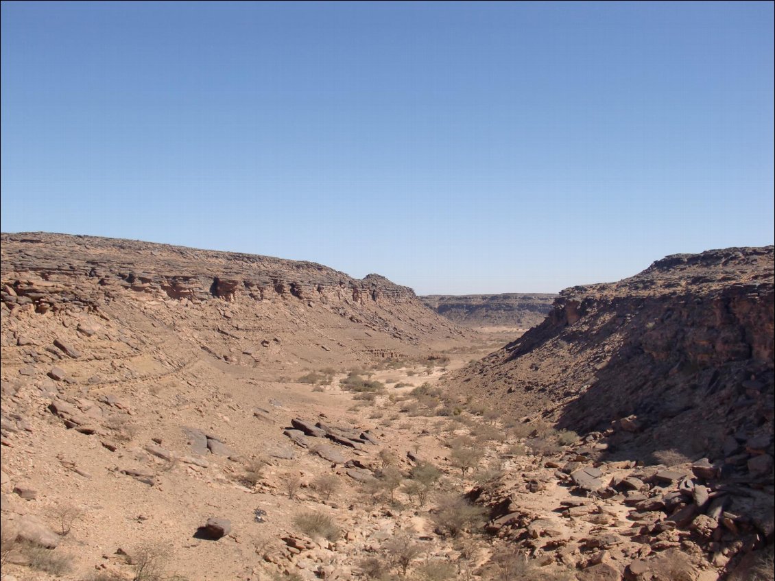 Canyon de l'Adrar mauritanien
