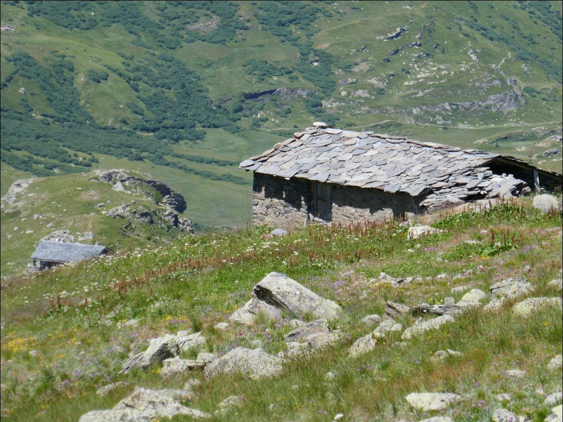 De très nombreuses et anciennes maisons d'alpages s'éparpillent dans le vallon de la Neuvache.