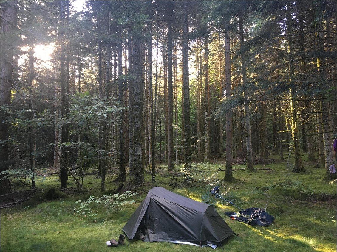 Bivouac sur la mousse