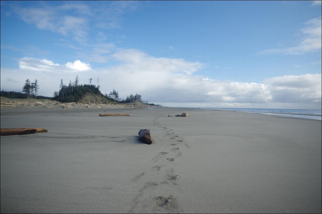East beach trail (Haida Gwaii)