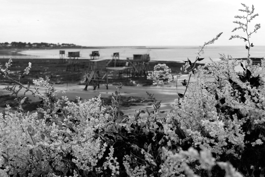 De Lanester à Hondarribia par la Vélodyssée