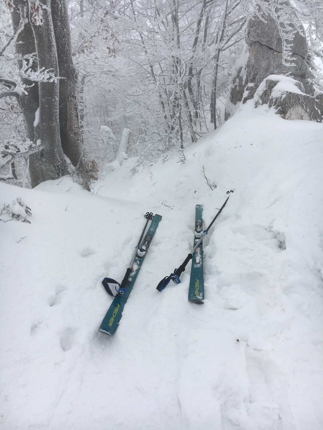 Les skis 🎿 de Rando !👍