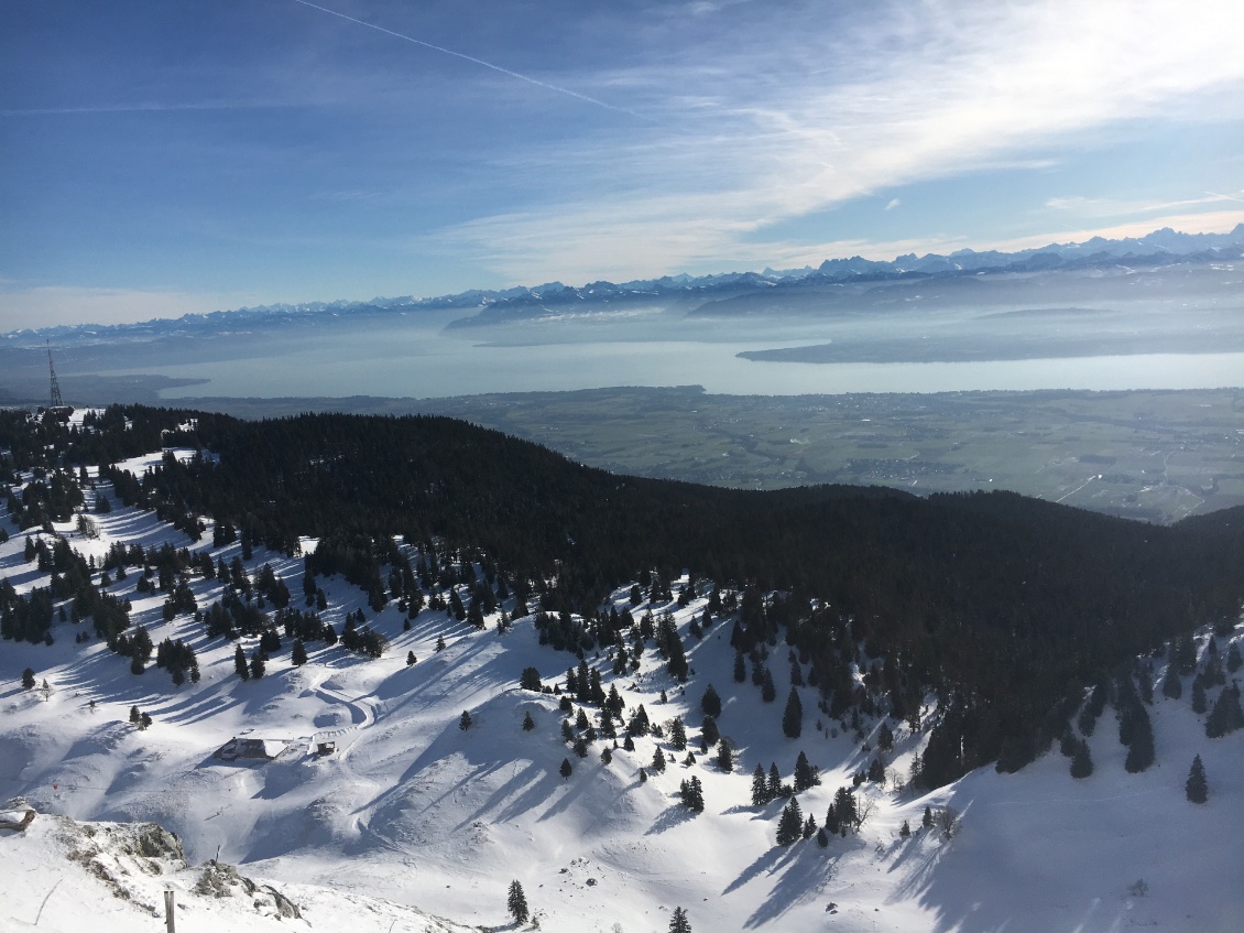 Vue sur les Alpes et le lac Leman 🤩