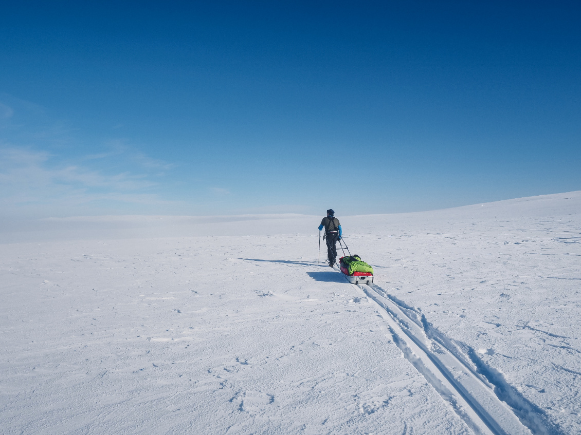 Aubrac ou Hardangervidda ? Ces hauts pâturages, 44,5° de latitude nord, ressemblent à s’y méprendre aux plateaux scandinaves !