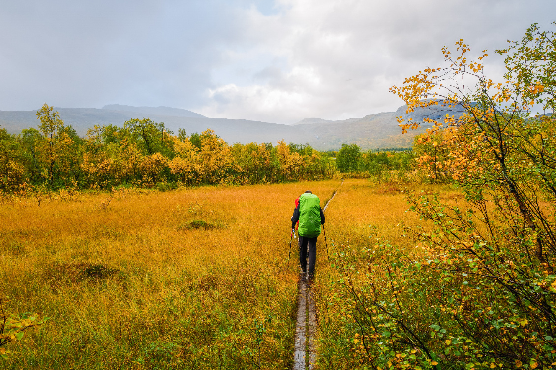 Marcher sur l’eau. Progression facile dans la Padjelanta suédoise grâce à ces passages en planches dans les zones humides.
Photo : Guillaume Pouyau (summitcairn.com)