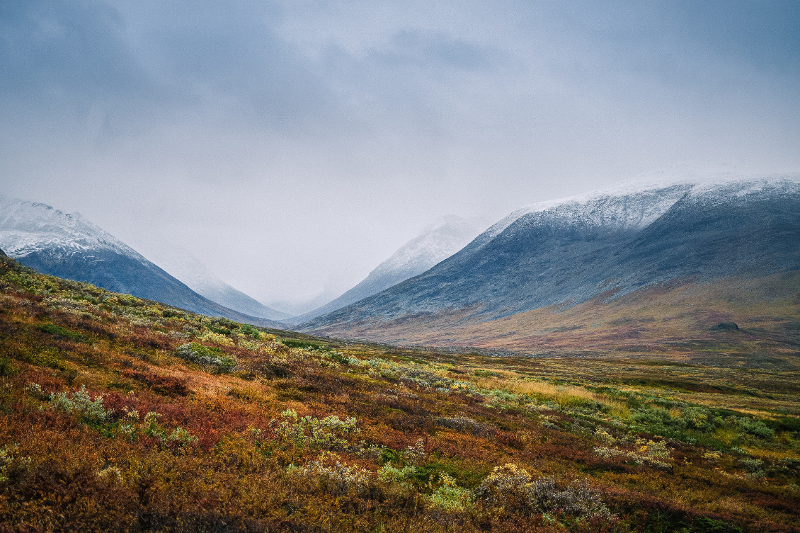 Entre-deux. L’immensité magnifique de la Laponie suédoise en automne.
Photo : Guillaume Pouyau (summitcairn.com)