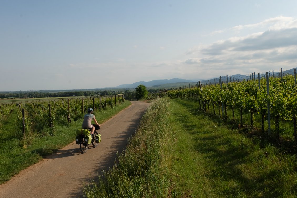 Couverture de Vosges - Alsace, vignes ou ballons ?