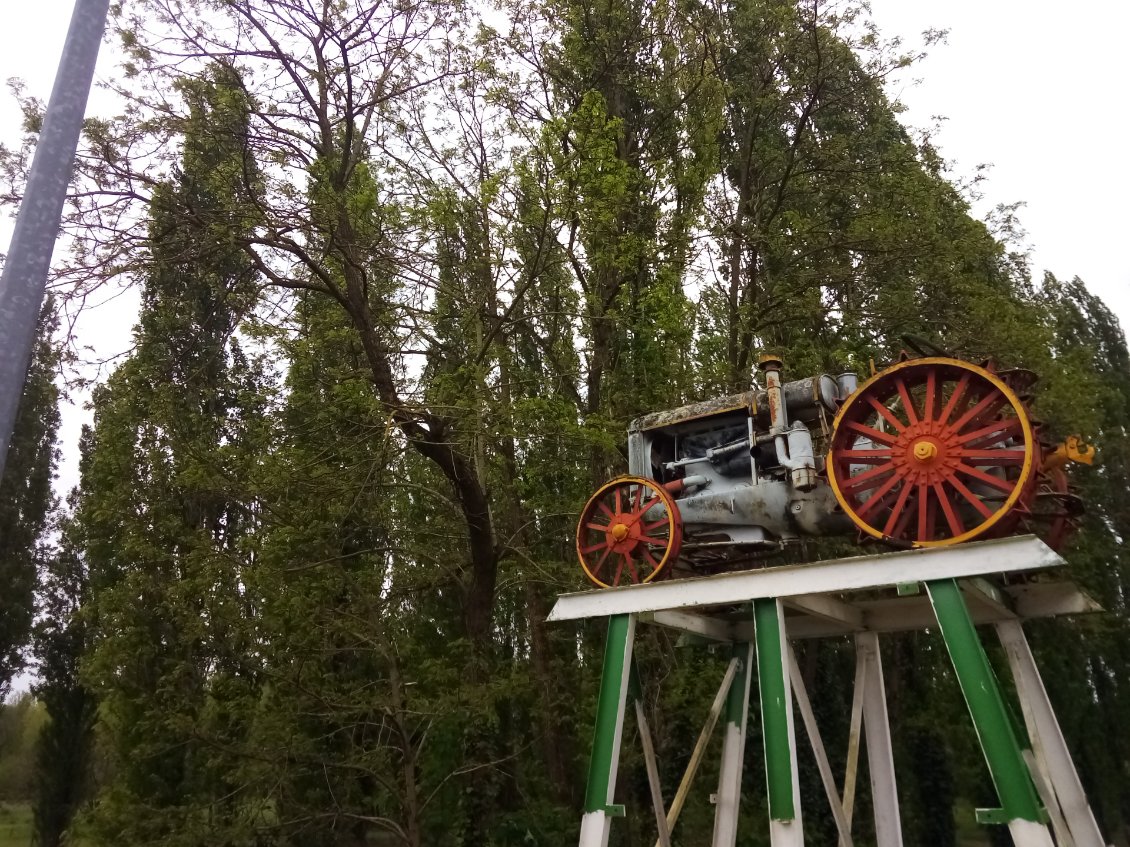 Un vieux tracteur perché dans les arbres.