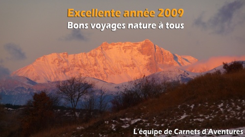 Bonne année 2009 (Le Pic de Bure vu depuis les locaux de la rédaction au petit matin)