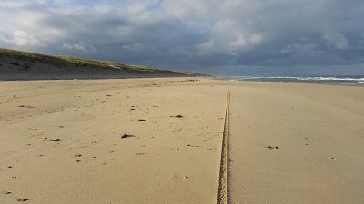 Sur les plages des Landes