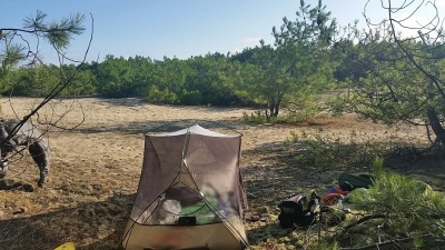 Bivouac dans les Landes