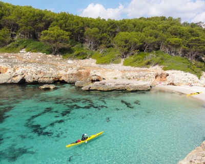 Sur la côte Sud