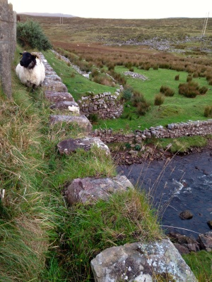 Irlande, sommet du voyage d'aventure