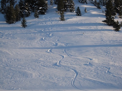 Avoir les skis permet de faire quelques sympathiques traces lorsque les pentes s'y prêtent Avoir les skis permet de faire quelques sympathiques traces lorsque les pentes s'y prêtent