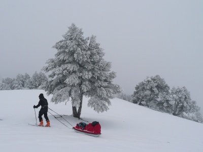 GTV hivernale : Les arbres se parent de givre GTV hivernale : Les arbres se parent de givre