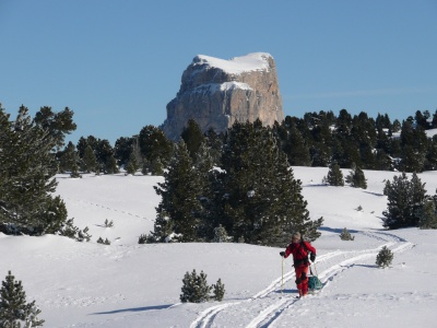 Le Mont-Aiguille qui émerge au-dessus de la forêt