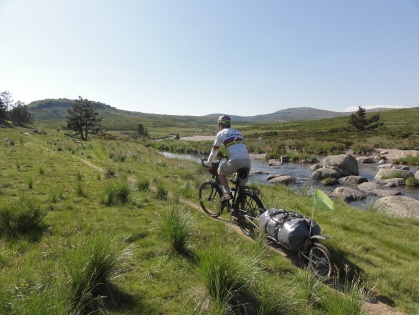 Le long du Tarn près de sa source