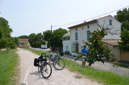 Pause cerise le long de la piste cyclable Bédarieux - Mazamet, entre Hérault et Tarn