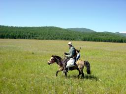 “ “Cheval