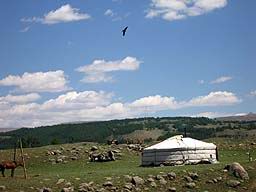 MONGOLIE : yourte mongole (ger)